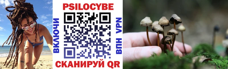 Галлюциногенные грибы Psilocybe  Купить закладки  Лагань 